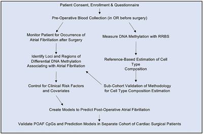 DNA Methylation-Based Prediction of Post-operative Atrial Fibrillation